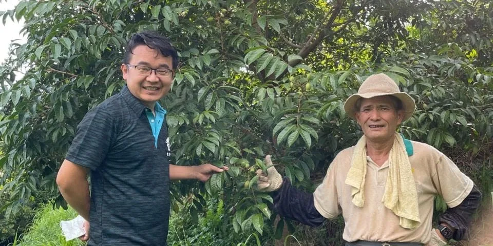 💥血糖有救了!🫒新竹寶山甘草橄欖,降壓降糖、護心降脂、舒緩筋骨胃痛一次滿足🌿天然高鈣防骨鬆,每日幾顆自然療癒,純天然零負擔,橄欖先生強力推薦🔥 - 4