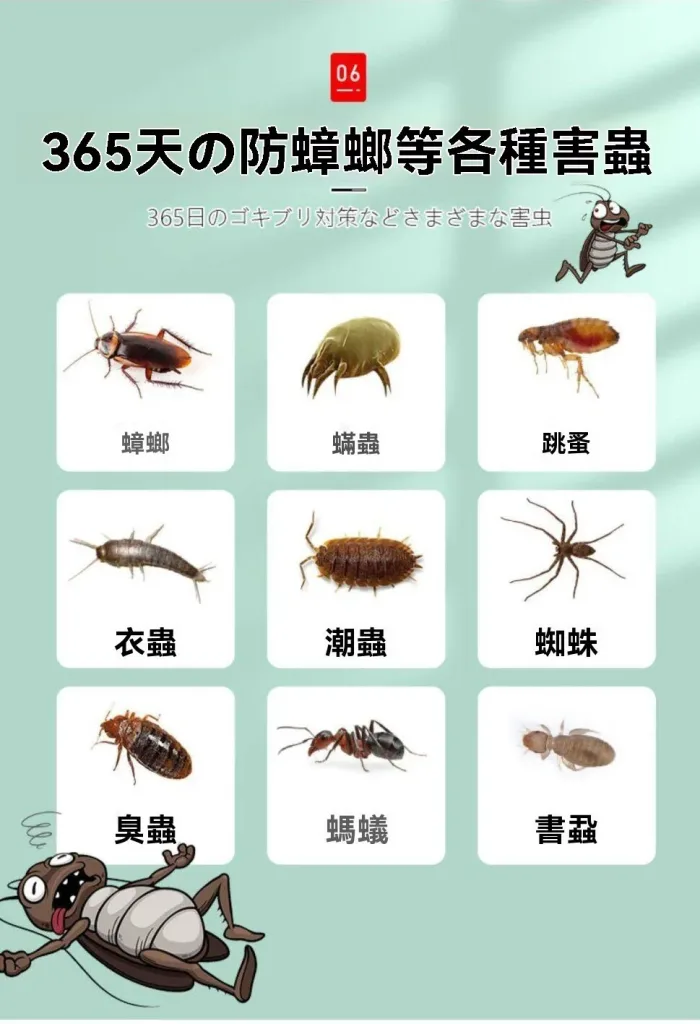 [限時搶購] 日本花香樟腦丸,衣櫃防黴防蛀片,除螨蟲防蟲驅除蟑螂衛生球,家庭防潮 - 13