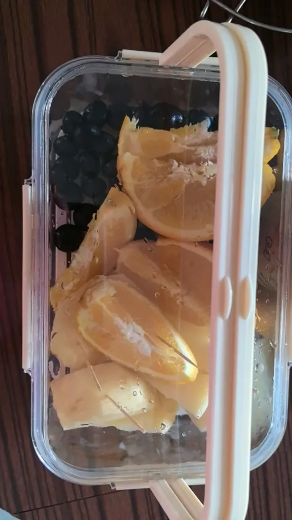上山露營帶食物最怕壓壞、漏出來。⛺️手提保鮮盒，食品級密封防漏，大容量裝水果、肉片、便當都好用。可移動手提設計，掛在背包就走。戶外神器，春遊必帶🔥今天下單現折，手慢等明年💥 實拍