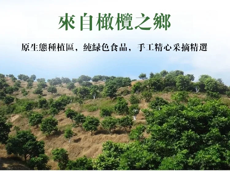 🔥連吃七天血糖直落!新竹寶山橄欖菜,血脂狂降血壓速穩,地表最強植化素引爆代謝💪打破三高魔咒,天然橄欖力引爆代謝奇蹟,甩開藥罐子還你清爽血管,飯桌秒殺神級開胃菜,百年古法手作工藝!健康革命就靠它🛒 - 11