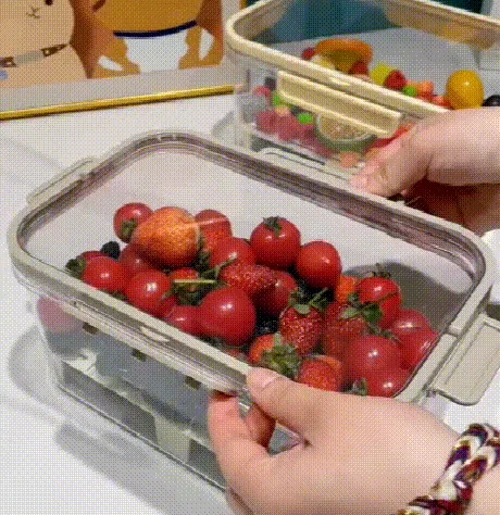 上山露營帶食物最怕壓壞、漏出來。⛺️手提保鮮盒，食品級密封防漏，大容量裝水果、肉片、便當都好用。可移動手提設計，掛在背包就走。戶外神器，春遊必帶🔥今天下單現折，手慢等明年💥 - 14