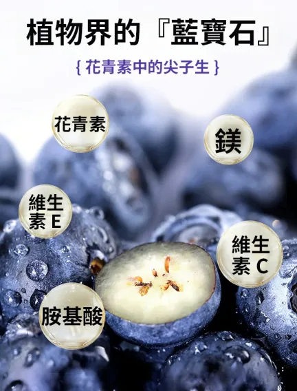 🟣『台灣自產藍寶石藍莓果乾』七大功效守護您！保護視力 增強記憶 骨骼健康 美容養颜🍃增強心肌💪，降低血糖💉。改善食慾🍴，保護肝臟🍀，防癌抗癌🛡️，幫助消化通便💩。更添美白養顏✨，提升肌膚細膩度💖，讓您健康美麗雙豐收！ - 15