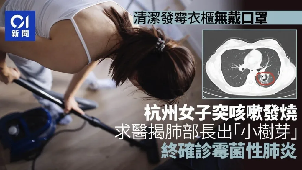 [限時搶購] 日本花香樟腦丸,衣櫃防黴防蛀片,除螨蟲防蟲驅除蟑螂衛生球,家庭防潮 - 2