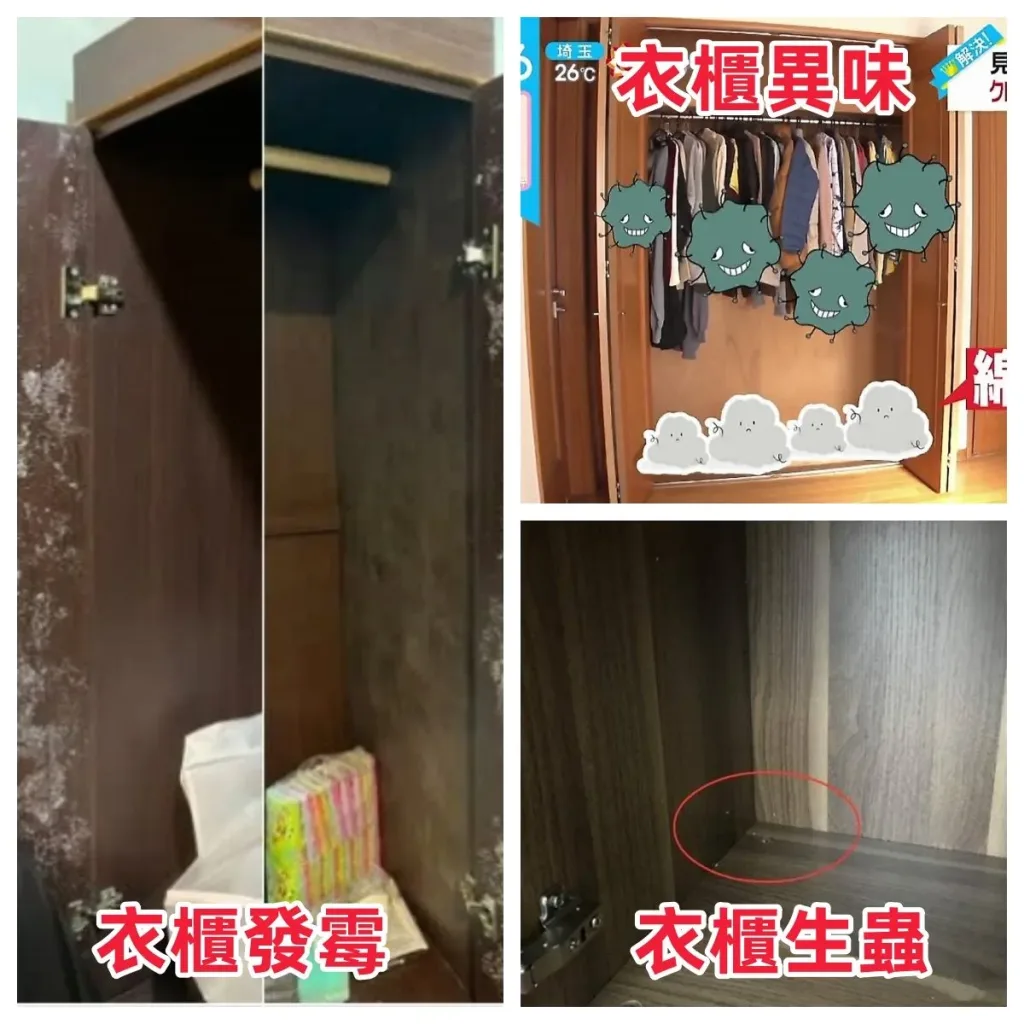 [限時搶購] 日本花香樟腦丸,衣櫃防黴防蛀片,除螨蟲防蟲驅除蟑螂衛生球,家庭防潮 - 6
