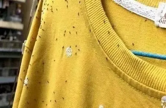 [限時搶購] 日本花香樟腦丸,衣櫃防黴防蛀片,除螨蟲防蟲驅除蟑螂衛生球,家庭防潮 - 7