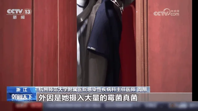 [限時搶購] 日本花香樟腦丸,衣櫃防黴防蛀片,除螨蟲防蟲驅除蟑螂衛生球,家庭防潮 - 3
