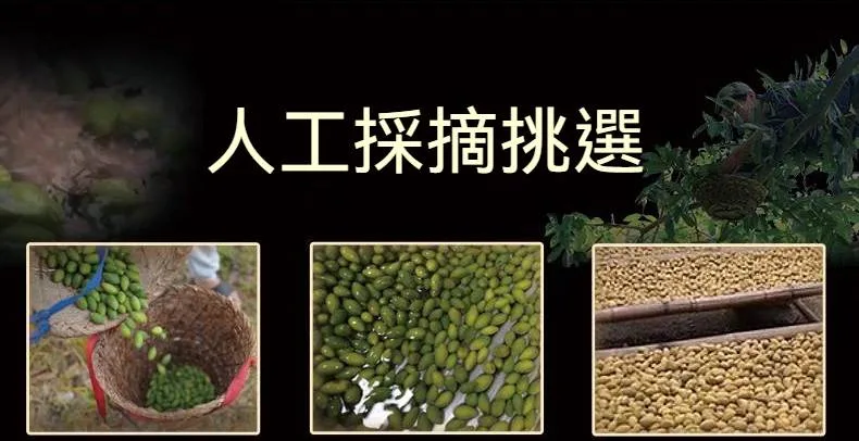 💥血糖有救了!🫒新竹寶山甘草橄欖,降壓降糖、護心降脂、舒緩筋骨胃痛一次滿足🌿天然高鈣防骨鬆,每日幾顆自然療癒,純天然零負擔,橄欖先生強力推薦🔥 - 13