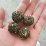 陳*諺 買家秀