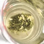 陳*諺 買家秀