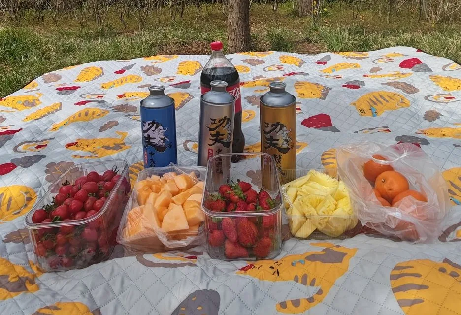 上山露營帶食物最怕壓壞、漏出來。⛺️手提保鮮盒，食品級密封防漏，大容量裝水果、肉片、便當都好用。可移動手提設計，掛在背包就走。戶外神器，春遊必帶🔥今天下單現折，手慢等明年💥 實拍