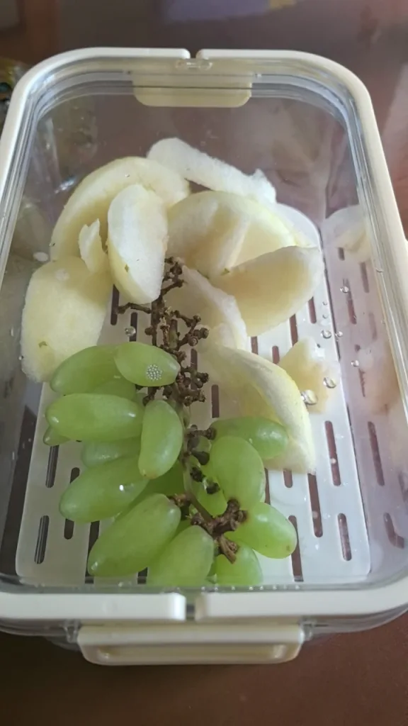 上山露營帶食物最怕壓壞、漏出來。⛺️手提保鮮盒，食品級密封防漏，大容量裝水果、肉片、便當都好用。可移動手提設計，掛在背包就走。戶外神器，春遊必帶🔥今天下單現折，手慢等明年💥 實拍