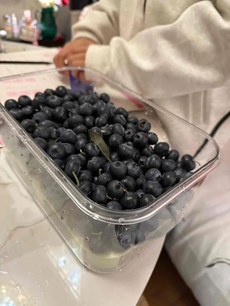上山露營帶食物最怕壓壞、漏出來。⛺️手提保鮮盒，食品級密封防漏，大容量裝水果、肉片、便當都好用。可移動手提設計，掛在背包就走。戶外神器，春遊必帶🔥今天下單現折，手慢等明年💥 實拍
