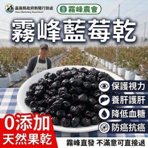 【霧峰有機藍莓乾|花青素王者・護眼首選】🌿霧峰在地有機栽種・無農藥殘留安心吃✨低溫慢烘鎖住營養・保留完整花青素與抗氧化成分富含花青素・強效抗氧化,保護視網膜健康,改善視力疲勞膳食纖維豐富調節血糖功能・多酚類物質有助提高胰島素敏感性