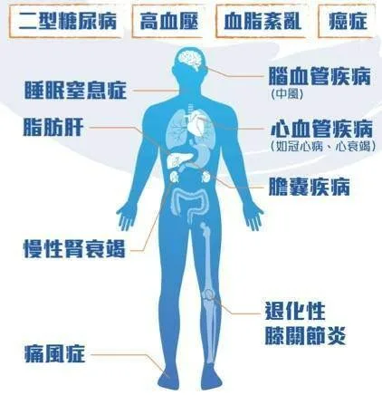 【亞麻籽薑黃芝麻鹽】🌾一罐三味！拌沙拉、拌飯、醃雞胸、沾烤肉萬用💚取代鹽巴健康無負擔，🥗堅果香氣入菜，健康美味一次滿足，一罐在手調味無窮，健康調味革命就從這罐開始🔥 - 14