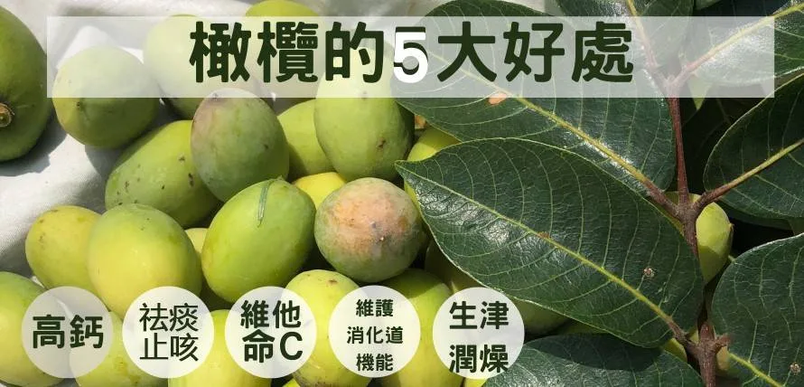 💥血糖有救了!🫒新竹寶山甘草橄欖,降壓降糖、護心降脂、舒緩筋骨胃痛一次滿足🌿天然高鈣防骨鬆,每日幾顆自然療癒,純天然零負擔,橄欖先生強力推薦🔥 - 12