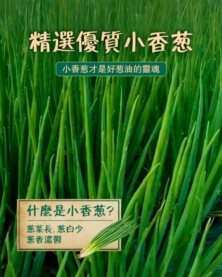 吃過那麼多拌醬，這罐真的不一樣。👨‍🍳錦壇蔥油拌麵醬，蔥香不是化學味，是那種熬出來的濃郁油潤。拌麵、拌菜、拌飯都超搭。鮮香順口，吃完碗底還要舔乾淨🔥 - 11