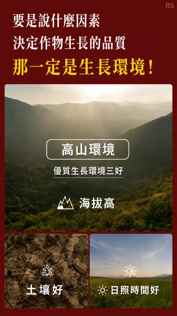 【茉莉龍珠綠茶】純正台灣茶，無色素香精✖️七次窨花手工揉捻🌼茉莉濃香＋綠茶鮮爽🌱熱水一沖，花香四溢，甘醇無比！球形緊壓釋放天然茉莉與嫩茶香，甘醇鮮爽，喝得健康！💎安心首選！ - 1